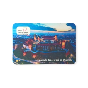 Magnes - Zamek Królewski na Wawelu nocą